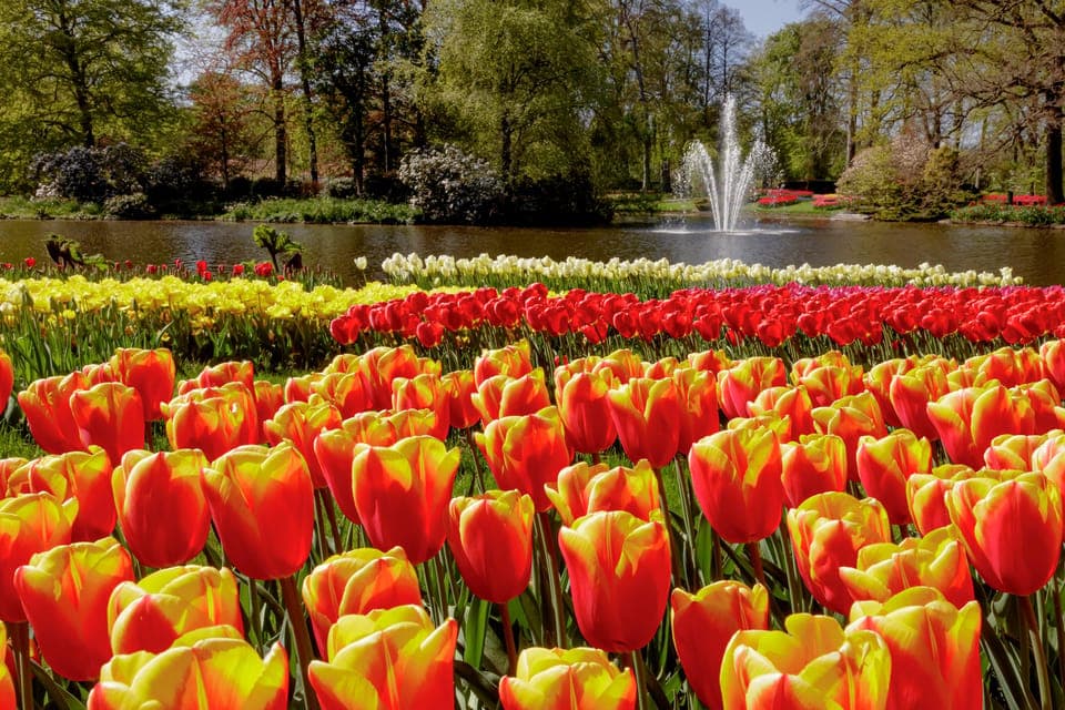 keukenhof bi̇leti̇ ()